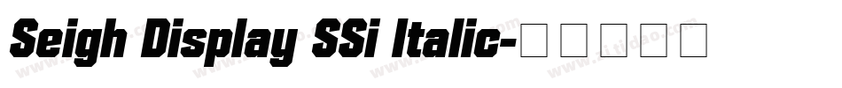 Seigh Display SSi Italic字体转换